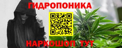 прущие крисы Кандалакша