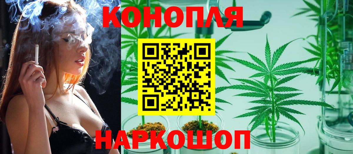 Конопля Bruce Banner Кольчугино